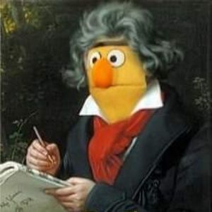 Meet your Posher, Sherry